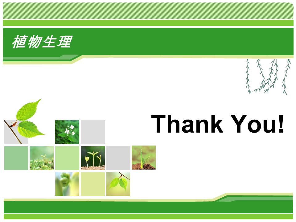植物生理 Thank You!