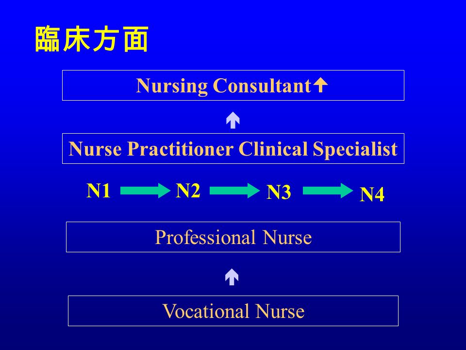 臨床方面 Nursing Consultant  Nurse Practitioner Clinical Specialist N1N2 N3 N4 Professional Nurse Vocational Nurse  