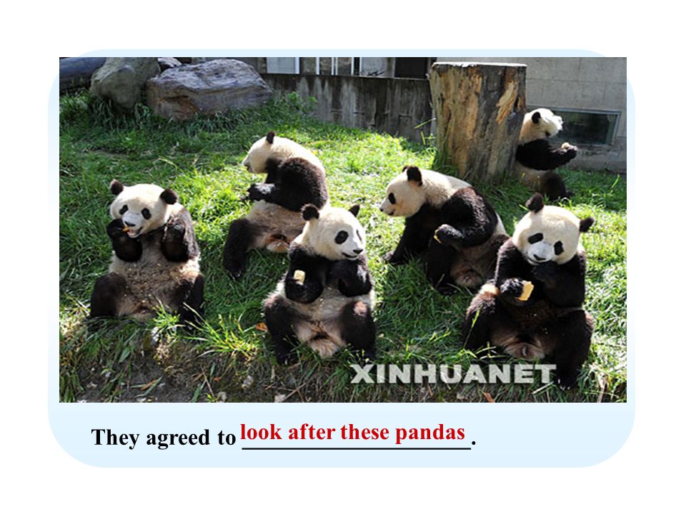 They agreed to ____________________. look after these pandas