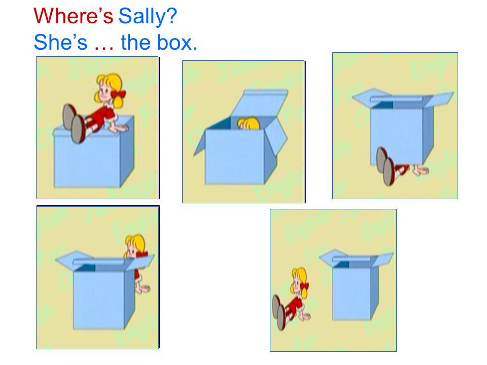 Where’s Sally She’s in/on/under/behind/near the box. oninunder behind near 记忆挑战