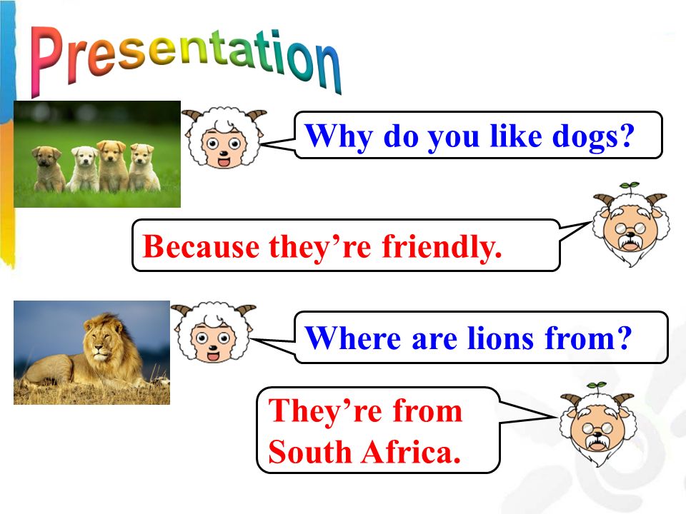 Why do you like dogs Because they’re friendly. Where are lions from They’re from South Africa.