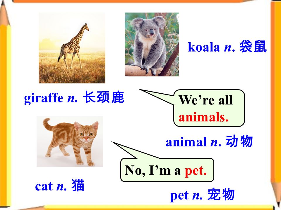 giraffe n. 长颈鹿 cat n. 猫 koala n. 袋鼠 No, I’m a pet. We’re all animals. animal n. 动物 pet n. 宠物