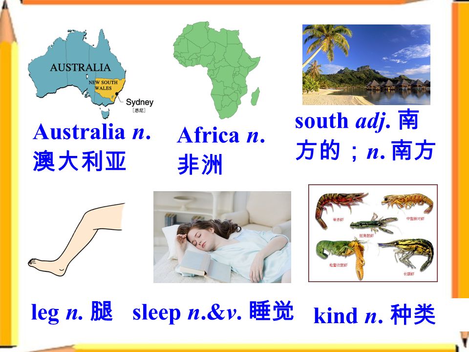 Australia n. 澳大利亚 leg n. 腿 Africa n. 非洲 south adj. 南 方的； n. 南方 sleep n.&v. 睡觉 kind n. 种类