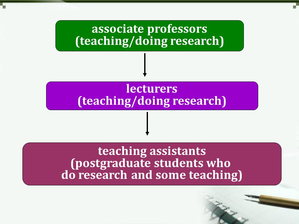 associate professors (teaching/doing research) lecturers (teaching/doing research) teaching assistants (postgraduate students who do research and some teaching)
