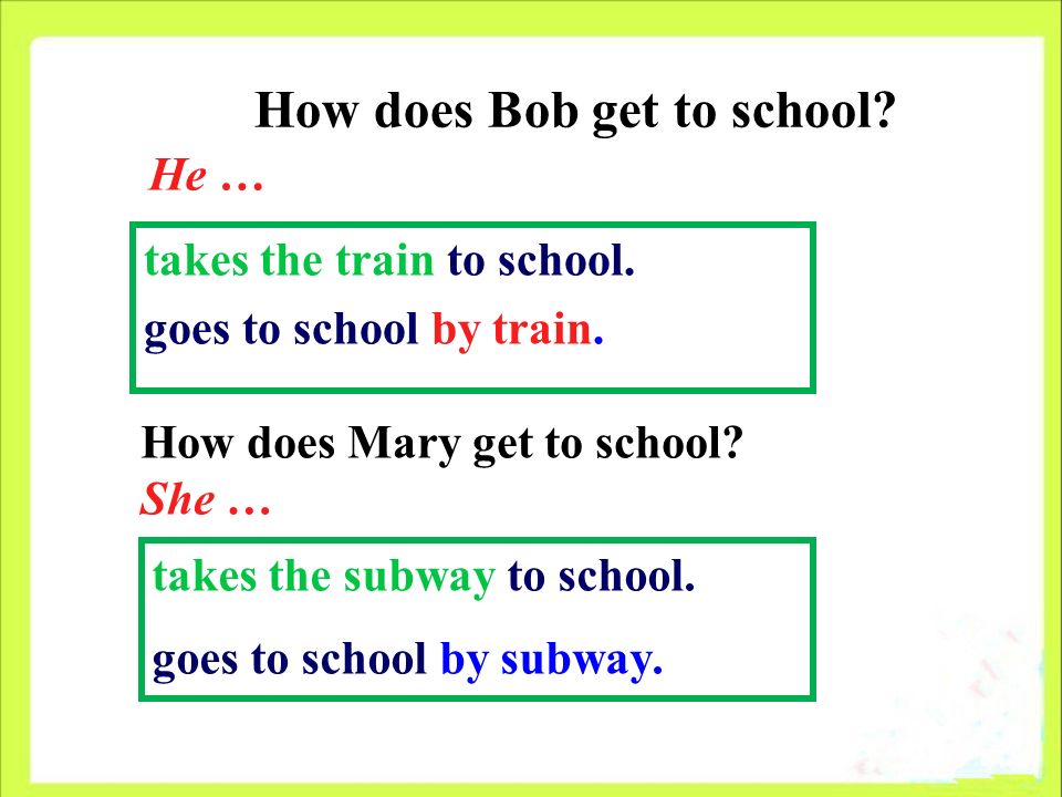 How does Bob get to school. takes the train to school.