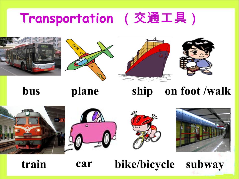 Transportation （交通工具） busplaneship train car bike/bicyclesubway on foot /walk