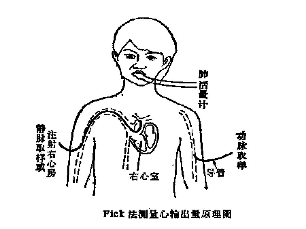 44 1,fick法在開放血液循環中